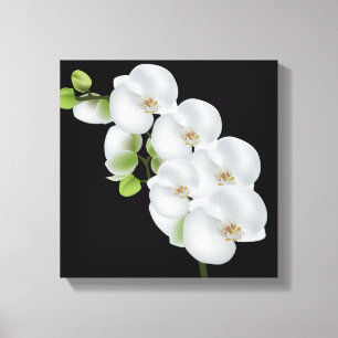 Canvas Muur Art-witte orchideeën Afdruk