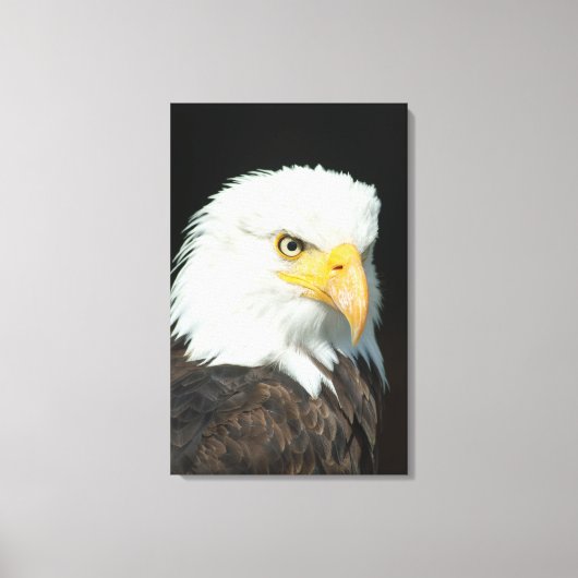 Canvas - Natuur Vogel Arend Afdruk (Voorkant)