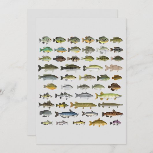 Canvas North America Freshwater Fish Group Print (Voorkant / Achterkant)