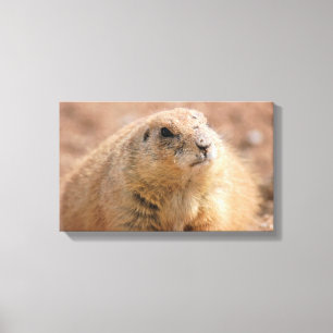 Canvas omslag: Prairie Dog met zwarte staart Afdruk