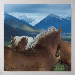 Canvas — Paarden en bergen Poster