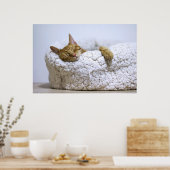 Canvas Premium Poster Nap 4 Cat (Gloss) (Cuisine)