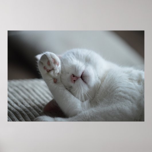 Canvas Premium Poster Nap 6 (Gloss) (Devant)
