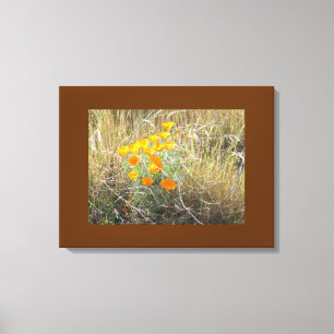 Canvas Print - California poppy