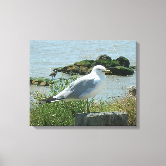 Canvas Print - Gull op Piling (Voorkant)