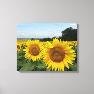 Canvas Print met zonnebloem