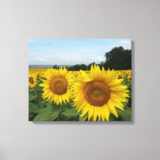 Canvas Print met zonnebloem (Voorkant)