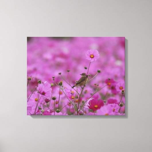 Canvas Print - Morning Glory (Voorkant)