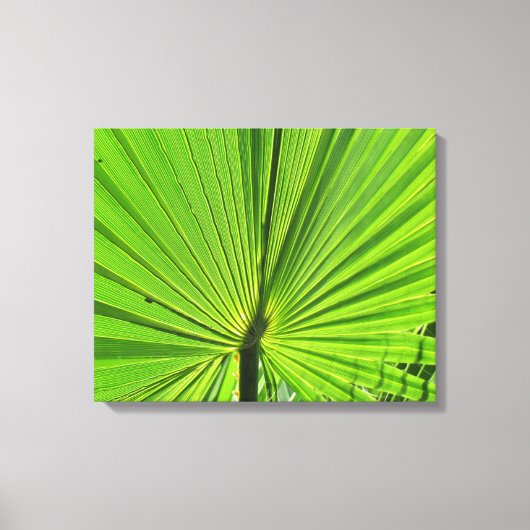 Canvas Print - Palm Frond (Voorkant)