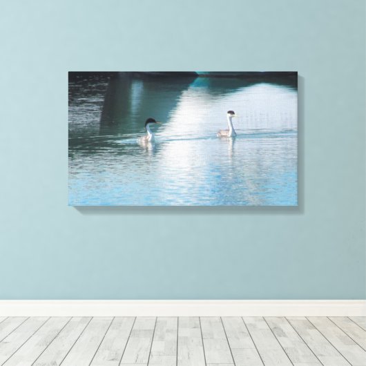 Canvas Print - Westerne Grebe in Harbour (Insitu (Houten vloer))