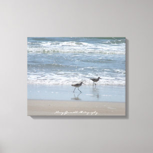 Canvas:Sandpipers op strand - Topsail Island NC Canvas Afdruk