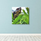 Canvas Schildpad Close Up (Insitu (Houten vloer))