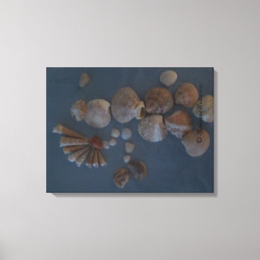 Canvas (SeaShell Lady) RFPMDesignes ©️ 2012 Afdruk (Voorkant)
