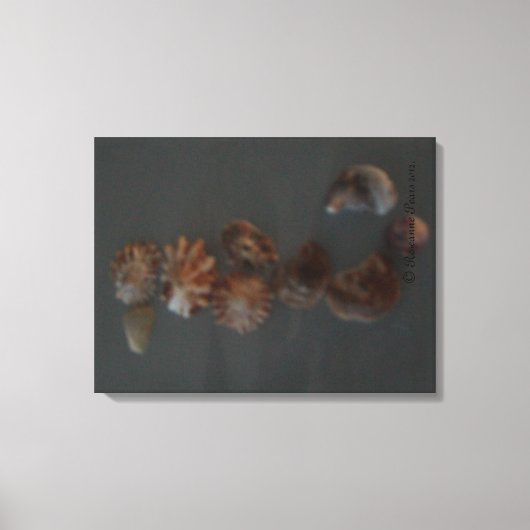 Canvas (SeaShell SeaHorse) RFPMDesigns ©️2012 Afdruk (Voorkant)