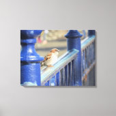 Canvas — Sparrow on fence (Voorkant)
