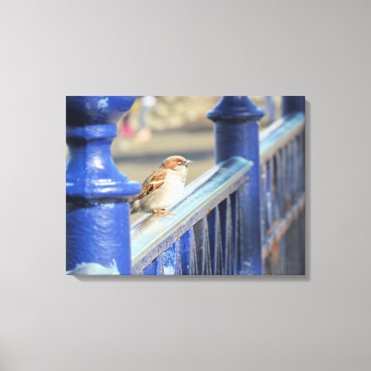 Canvas — Sparrow on fence (Voorkant)