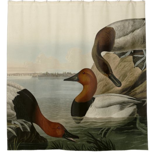 Canvas steunde Duck van Audubon's Birds of America Douchegordijn (Voorkant)