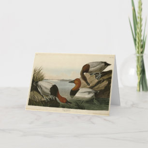 Canvas steunde Duck van Audubon's Birds of America Kaart