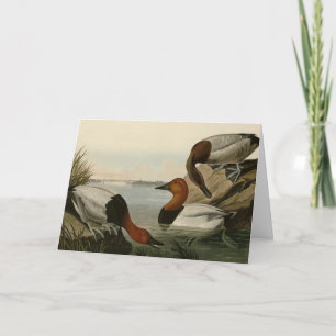 Canvas steunde Duck van Audubon's Birds of America Kaart
