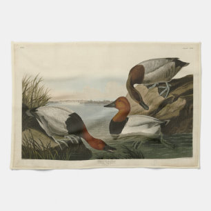 Canvas steunde Duck van Audubon's Birds of America Theedoek