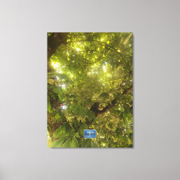 Canvas (Sun Green Tree 1) RFPMDesigns ©️2021/24 Afdruk