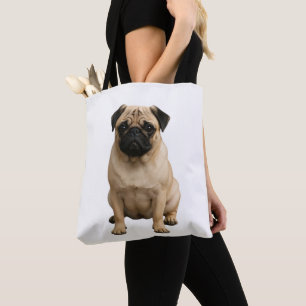canvas tas