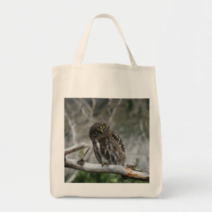 Canvas tas van de noordelijke Pygmy Owl
