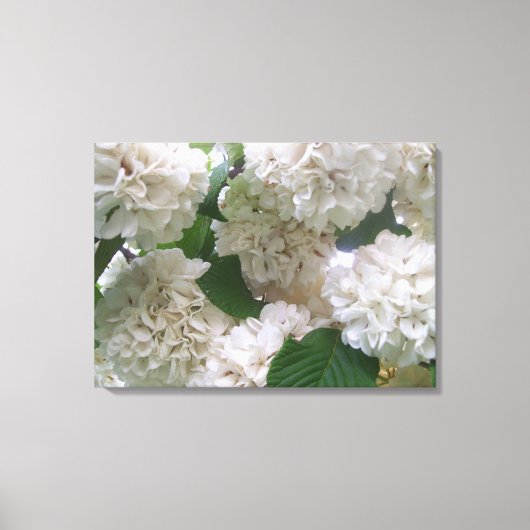 Canvas - Verpakt - Witte Hydrangeas l (Voorkant)