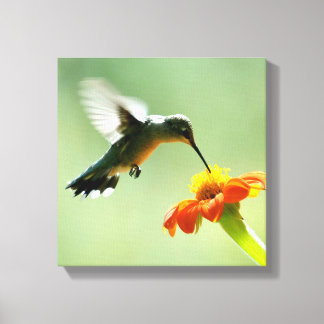 Canvas verpakte print van kolibrie en bloem