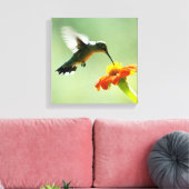 Canvas verpakte print van kolibrie en bloem (Insitu (Woonkamer))