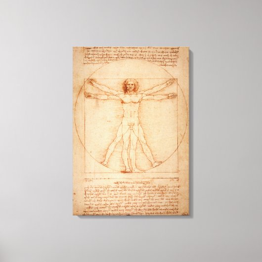 Canvas Vitruvian Man van Leonardo da Vinci Afdruk (Voorkant)