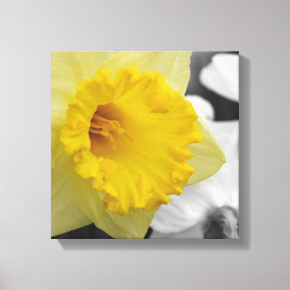 canvas with yellow narcissus afdruk