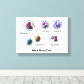 Canvas Witte bloedcellen leukocyten diagram (Insitu (Houten vloer))