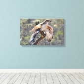 Canvas Wrap: ijzerhoudende havik (Insitu (Houten vloer))