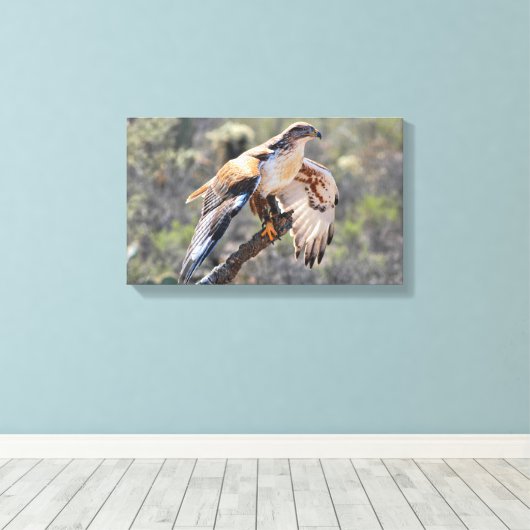 Canvas Wrap: ijzerhoudende havik (Insitu (Houten vloer))