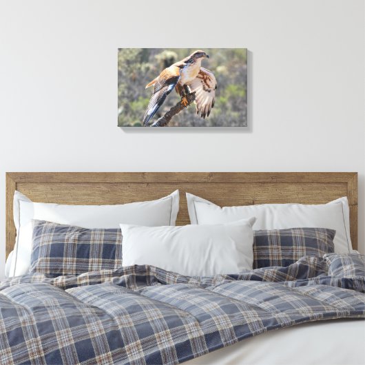 Canvas Wrap: ijzerhoudende havik (Insitu (Slaapkamer))
