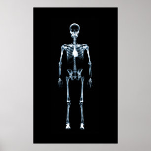 Canvas X-Ray Vision Blue Single Skeleton afdrukken Poster