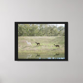 Canvasafdruk - Alpacas op de Hill Canvas Afdruk (Voorkant)