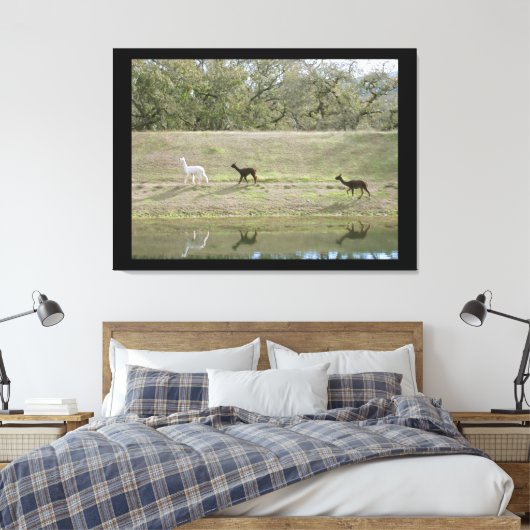 Canvasafdruk - Alpacas op de Hill Canvas Afdruk (Insitu (Slaapkamer))