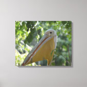 Canvasafdruk met grappig pelicaans canvas afdruk (Voorkant)
