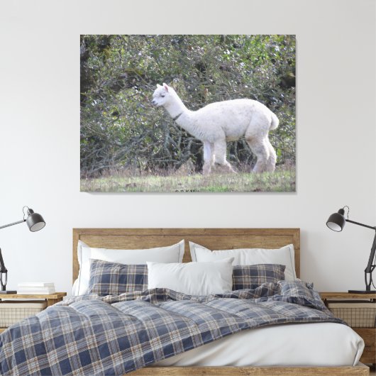 Canvasafdruk - White Alpaca Canvas Afdruk (Insitu (Slaapkamer))