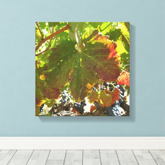 Canvasafdruk - wijnstokken met druiven canvas afdruk (Insitu (Houten vloer))