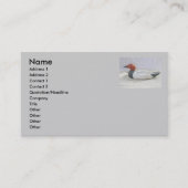Canvasback Cartes de visite Decoy (Devant)