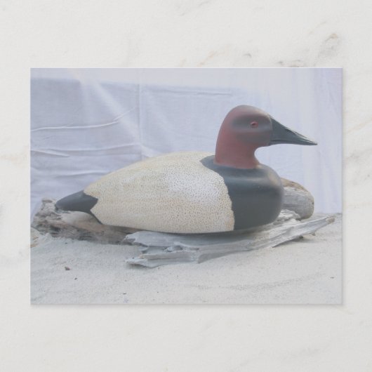 Canvasback Duck Decoy-Briefkaart Briefkaart (Voorkant)