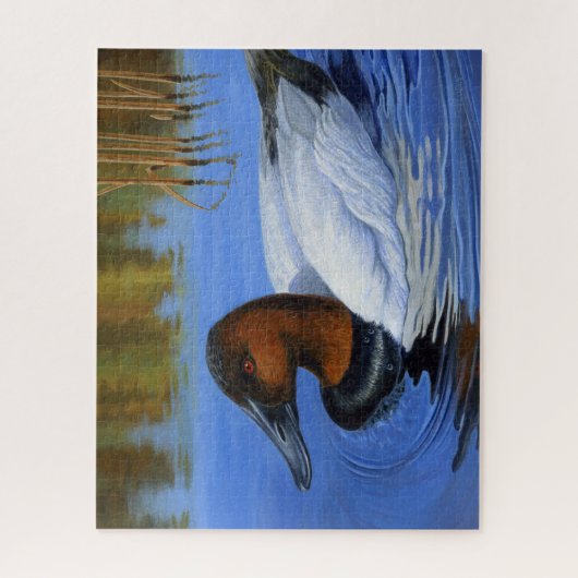 Canvasback eend zwemmen, riet, acryl schilderen legpuzzel (Verticaal)