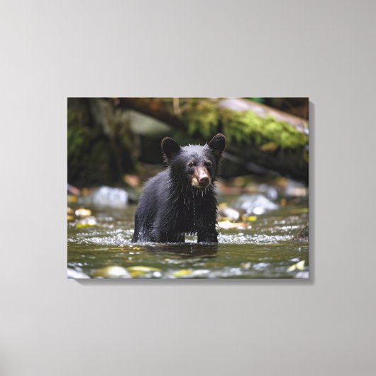 Canvasmuur Art-Yellowstone Zwart Beren welpje Canvas Afdruk (Voorkant)