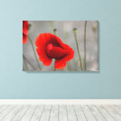 Canvasprint De Rode Klaproos Canvas Afdruk (Insitu (Houten vloer))