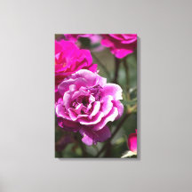 Canvasprint mooie rozen fotografie