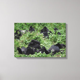 Canvasprint van een groep berggorilla's canvas afdruk