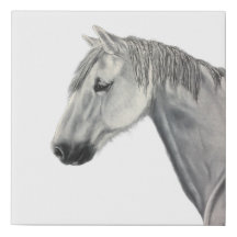 Canvasprint van witte paard
